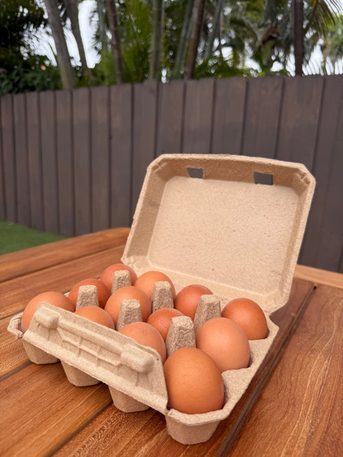 Pasture-Raised Eggs (1 Dozen) - Paradise Farms