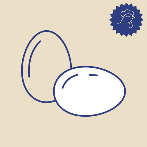 Pasture-Raised Eggs (1 Dozen) - Paradise Farms