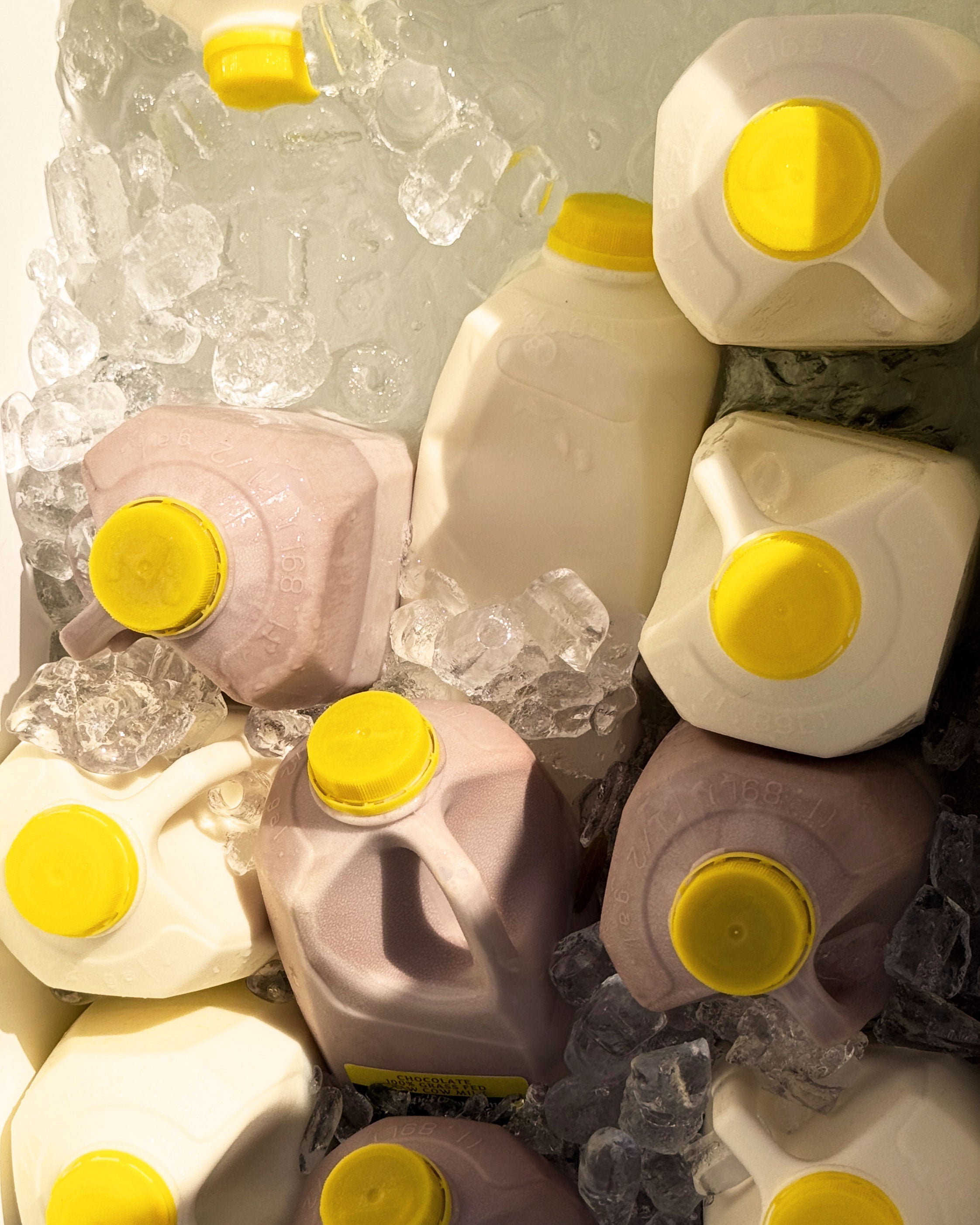Raw Dairy Club
