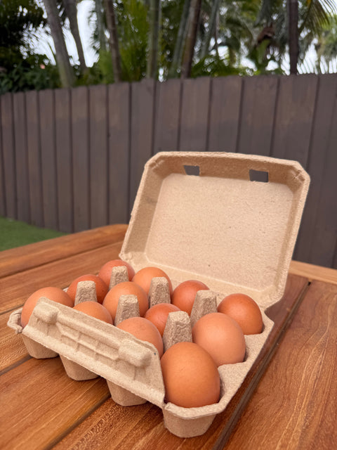 Pasture-Raised Eggs (1 Dozen) - Paradise Farms